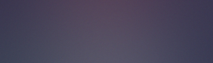 Profil professionnel